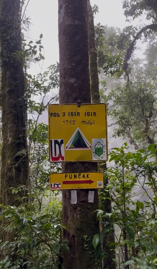 Pos 3 / Igir-Igir
