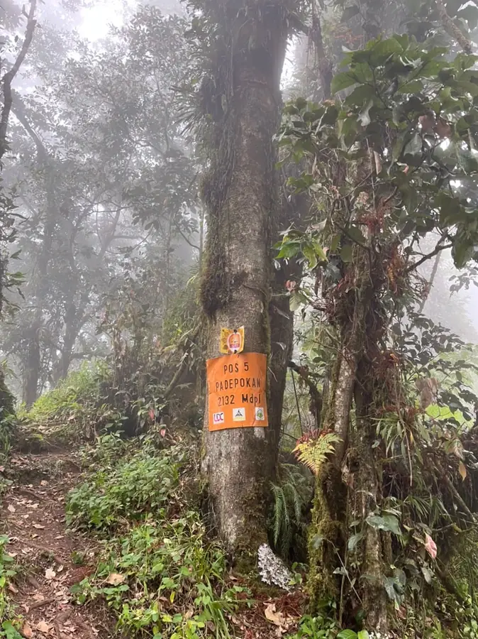 Pos 5 / Padepokan