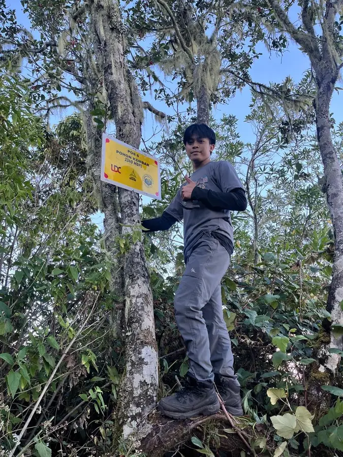 Pos 6 / Pohon Kembar