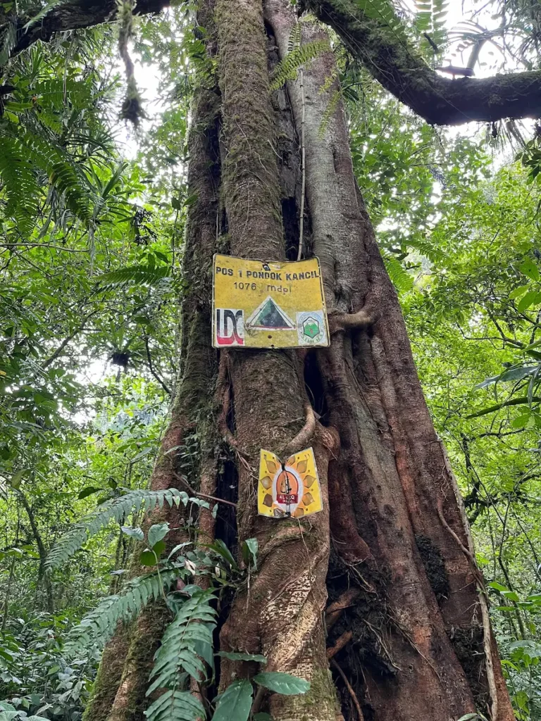 Pos 1