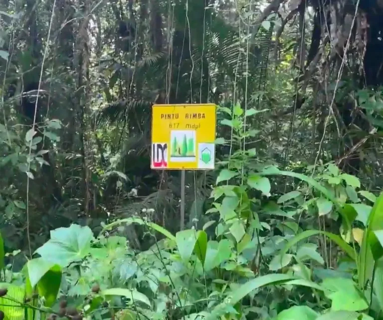Pos Rimba